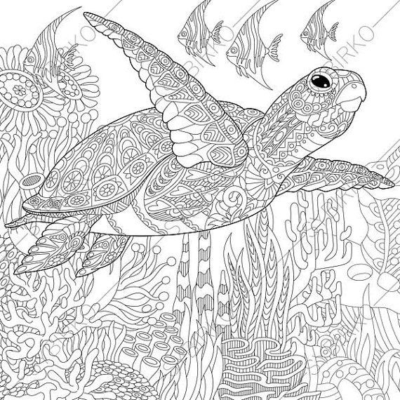 570x570 Turtle Adult Coloring Pages New Ocean World Turtle 3 Coloring