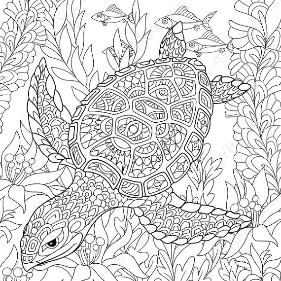 Adult Coloring Pages Turtle at - Adult Coloring Pages Turtle 39 