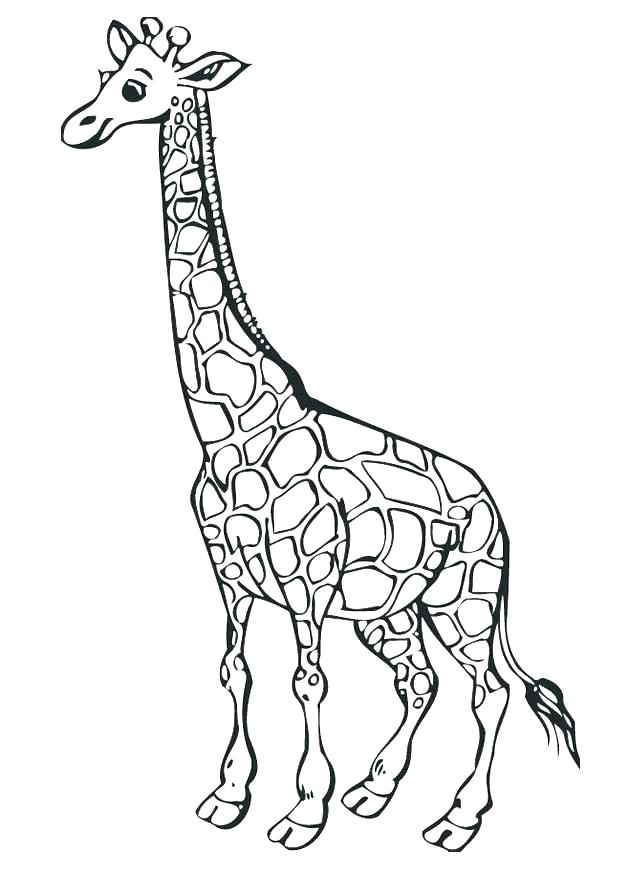 Giraffe Coloring Page Free Giraffe Coloring Pages For Adults 620x875 Giraffe Coloring Page Free Giraffe Coloring Pages For Adults