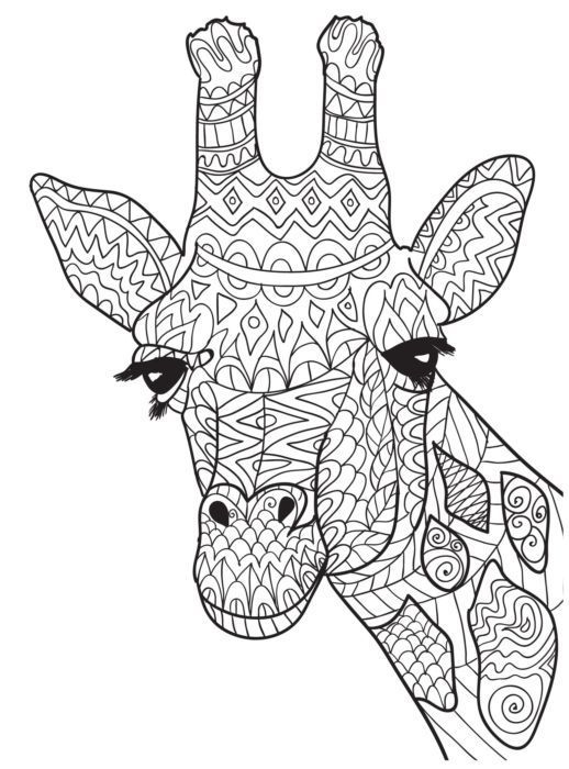 Giraffe Coloring Pages Awesome Ten Adult Coloring Pictures 518x700 Giraffe Coloring Pages Awesome Ten Adult Coloring Pictures