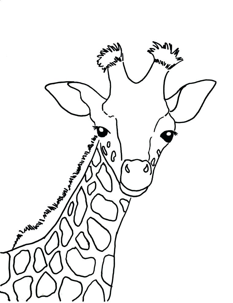 Giraffe Coloring Pages Christmas Giraffe Coloring Pages 760x985 Giraffe Coloring Pages Christmas Giraffe Coloring Pages
