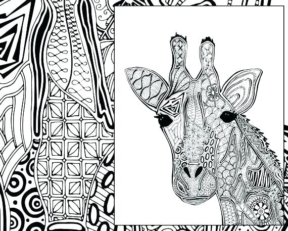 Giraffe Coloring Pages Printable Giraffe Coloring Pages Giraffe 570x457 Giraffe Coloring Pages Printable Giraffe Coloring Pages Giraffe