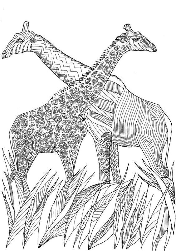Pin By Barbara On Coloring Giraf, Camel 564x804 Pin By Barbara On Coloring Giraf, Camel