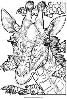 Zentangle Giraffe Head For Coloring Page, Shirt Design And So 236x347 Zentangle Giraffe Head For Coloring Page, Shirt Design And So