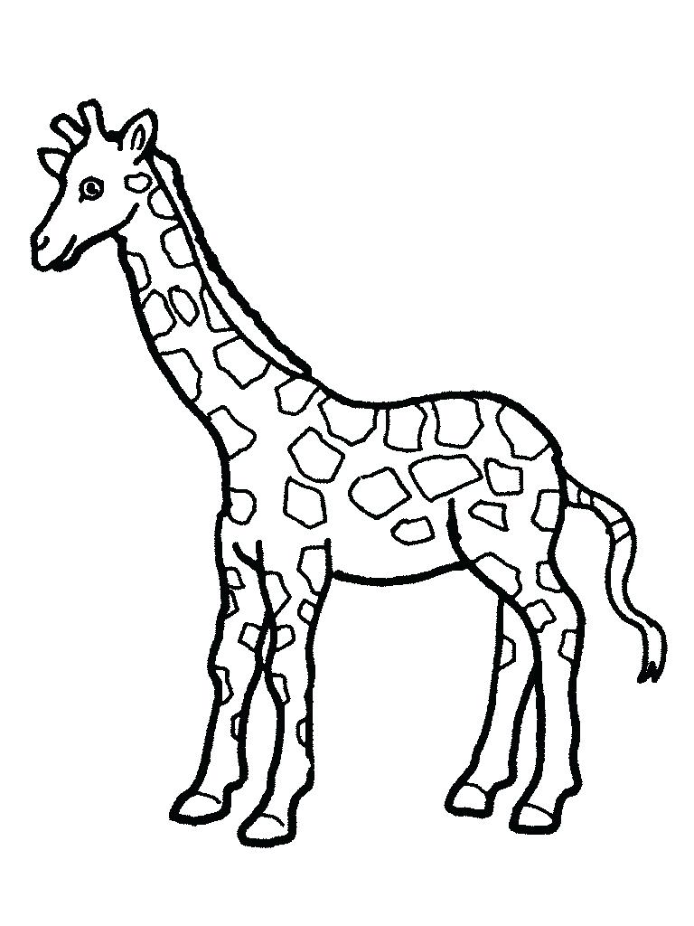 Coloring Pages ~ Giraffe Coloring Pages Cute Free For Adults 768x1024 Coloring Pages ~ Giraffe Coloring Pages Cute Free For Adults