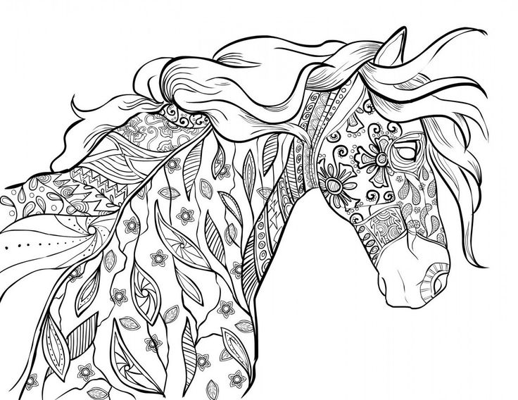 736x568 Horse Coloring Pages Adults Awesome Horse Coloring Pages