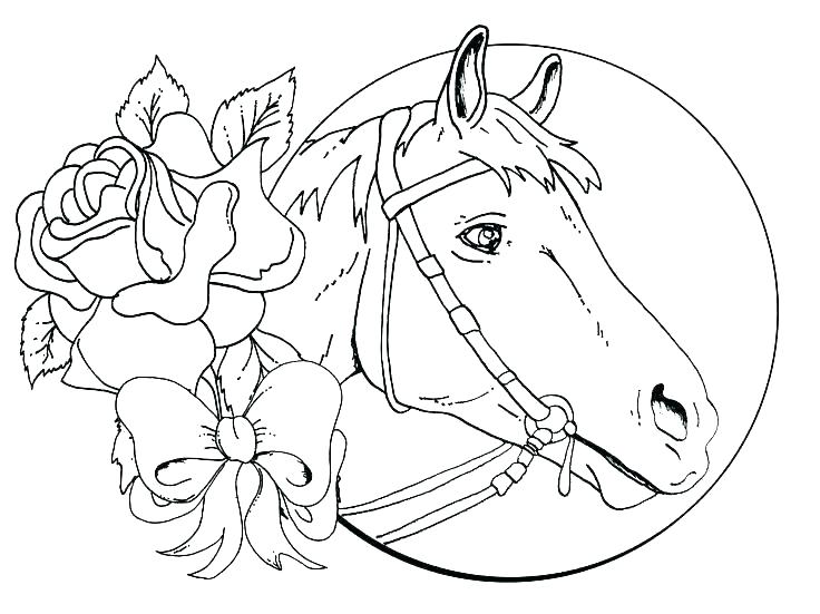736x551 Horse Coloring Books
