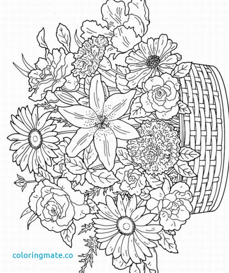 32 Spring Coloring Pages For Adults 736x875 32 Spring Coloring Pages For Adults