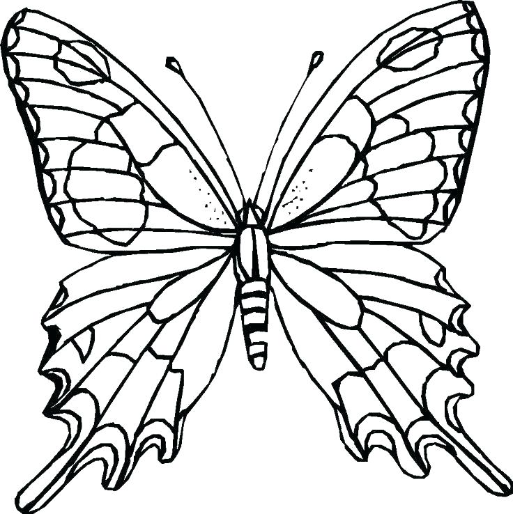 Spring Coloring Pages For Adults Spring Coloring Page Spring 736x738 Spring Coloring Pages For Adults Spring Coloring Page Spring