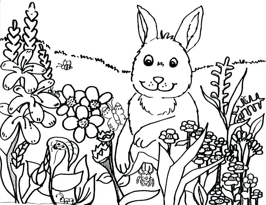 Spring Coloring Pages Adults Spring Coloring Pages 906x700 Spring Coloring Pages Adults Spring Coloring Pages