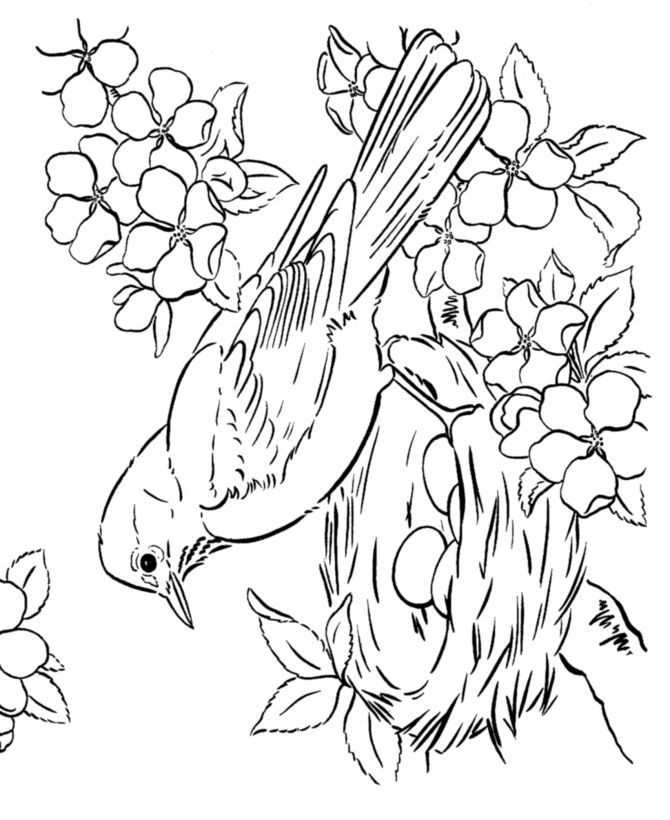 464 Best Free Coloring Pages For Adults Images 670x820 464 Best Free Coloring Pages For Adults Images