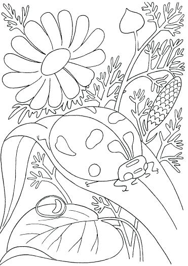 Spring Printable Coloring Pages Printable For Peaceful Design 371x525 Spring Printable Coloring Pages Printable For Peaceful Design