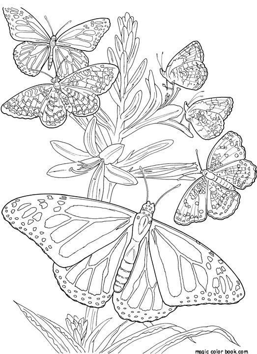 Adult Coloring Pages Spring Flowers Printable 523x720 Adult Coloring Pages Spring Flowers Printable