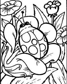 Flower Page Printable Coloring Sheets Spring Coloring Pages 236x295 Flower Page Printable Coloring Sheets Spring Coloring Pages