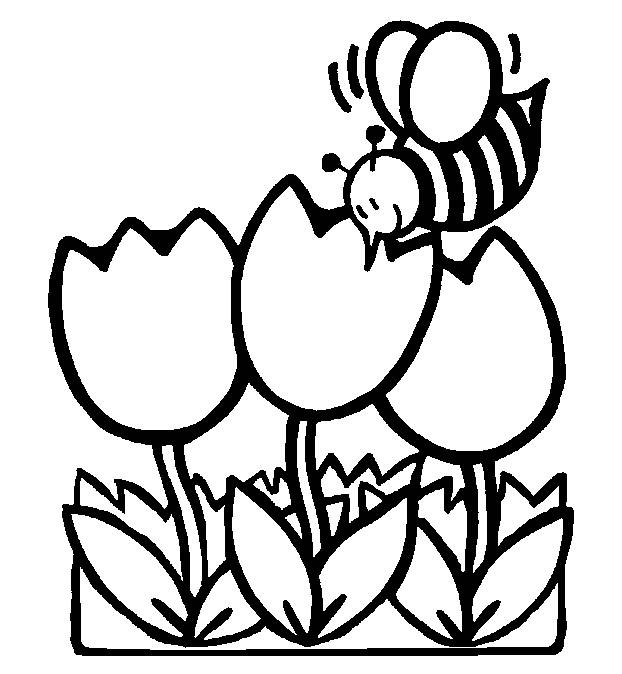 Cozy Ideas Spring Coloring Pages Printable Adult Themed Kids 622x674 Cozy Ideas Spring Coloring Pages Printable Adult Themed Kids