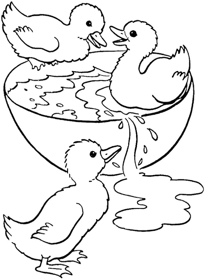 720x979 Duck Swimming In A Bowl Coloring Pages Bordado Tradicional
