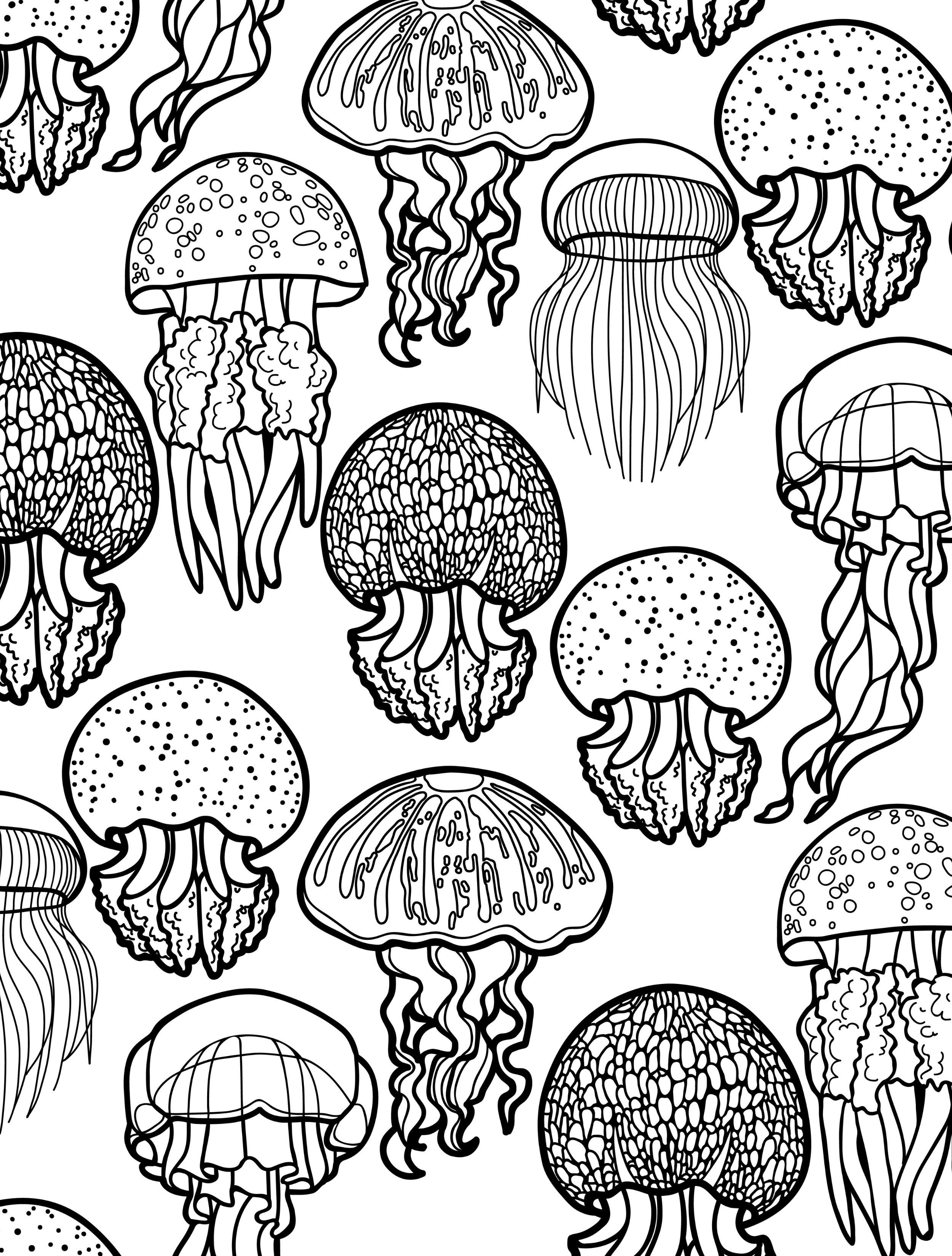 2500x3300 Ocean Themed Coloring Pages For Adults To Color Pic Paper Art