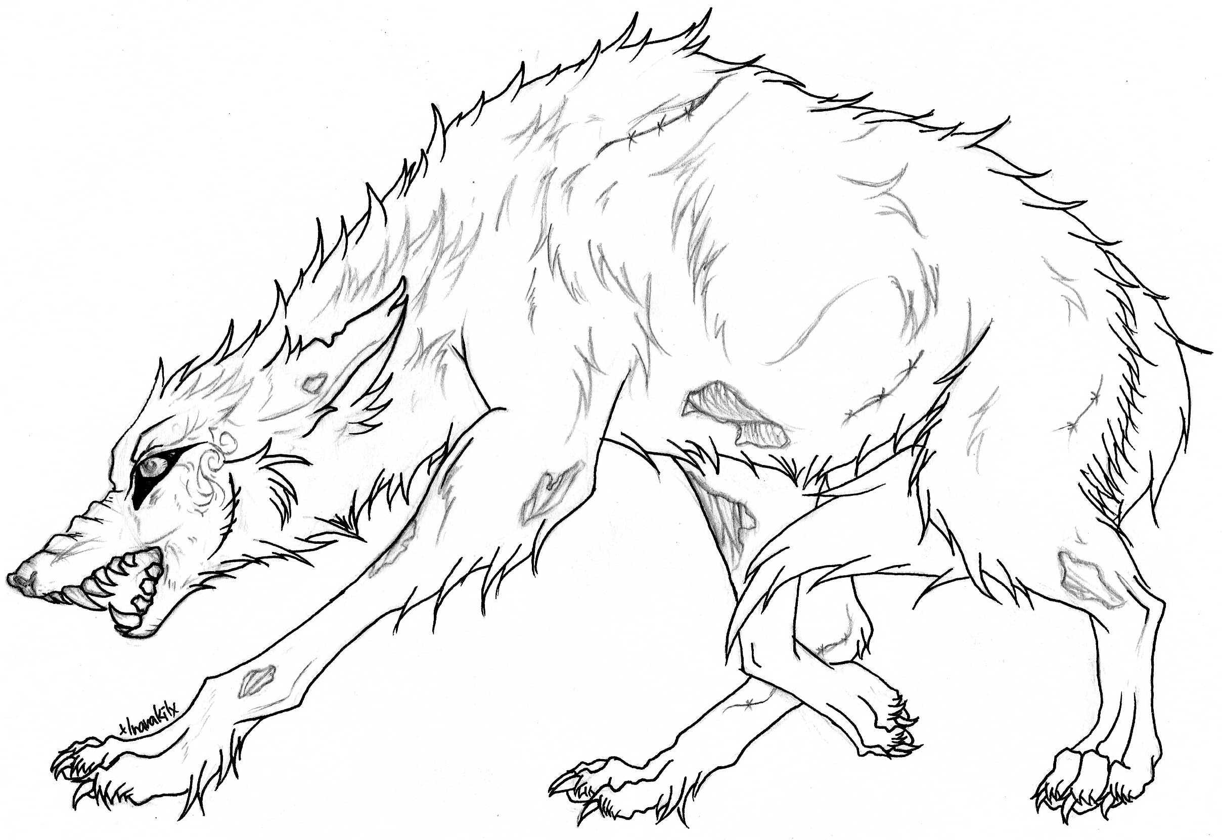 2417x1662 Wolf Coloring Pages Free Wolf Coloring Pages Printable