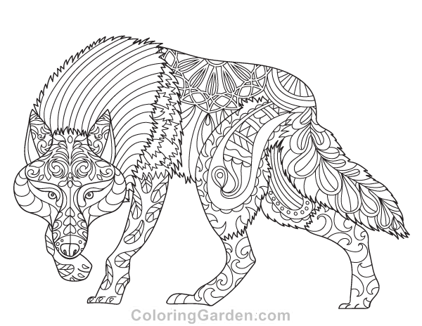 600x464 Free Printable Wolf Adult Coloring Page. Download It In Pdf Format