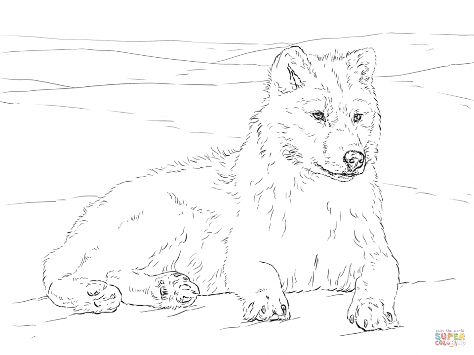 960x719 Get This Realistic Wolf Coloring Pages For Adults Free Printable