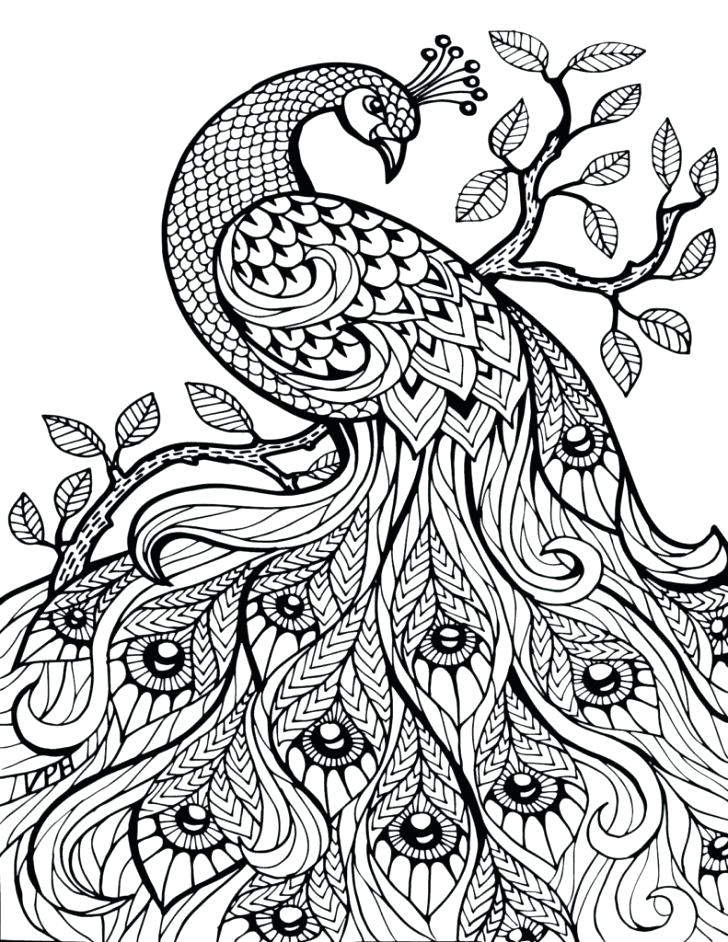 Printable Advanced Coloring Pages Printable Advanced Coloring 728x942 Printable Advanced Coloring Pages Printable Advanced Coloring
