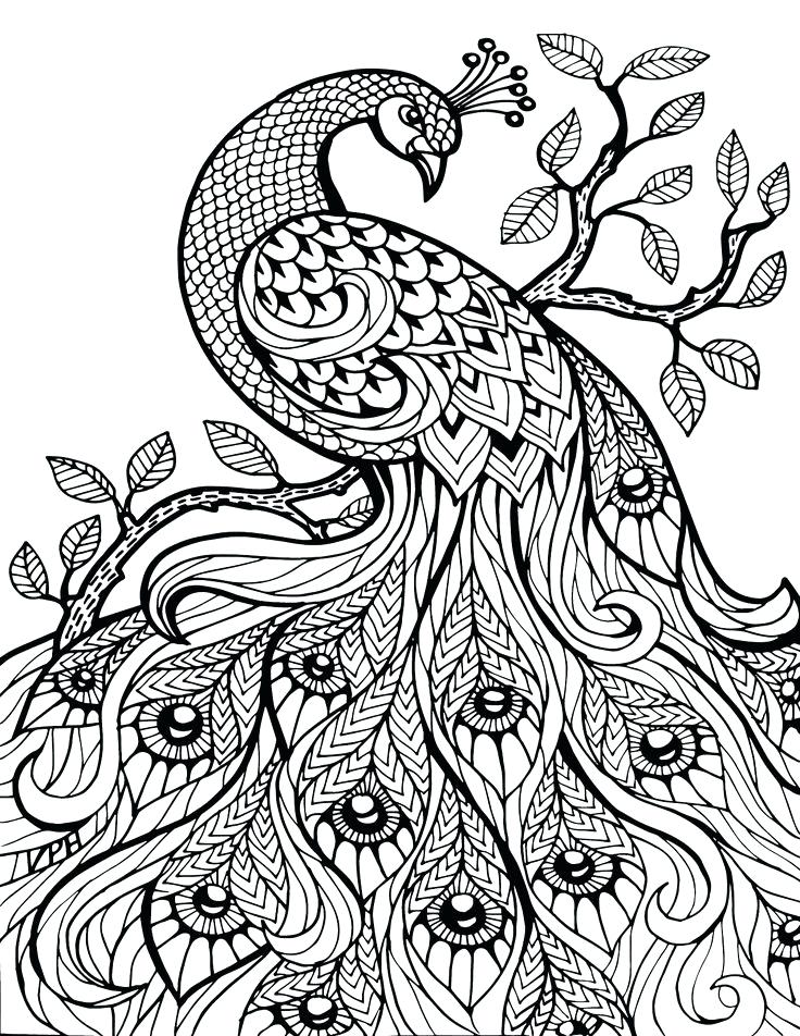 736x952 Advanced Coloring Books Plus Adult Advanced Mandala Coloring Pages