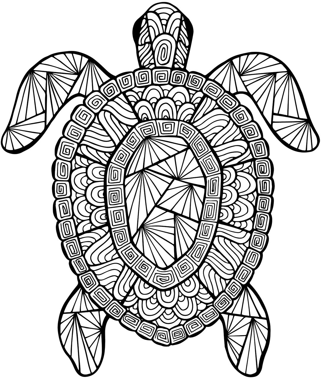 1080x1272 Detailed Sea Turtle Advanced Coloring Page A To Z Teacher Stuff