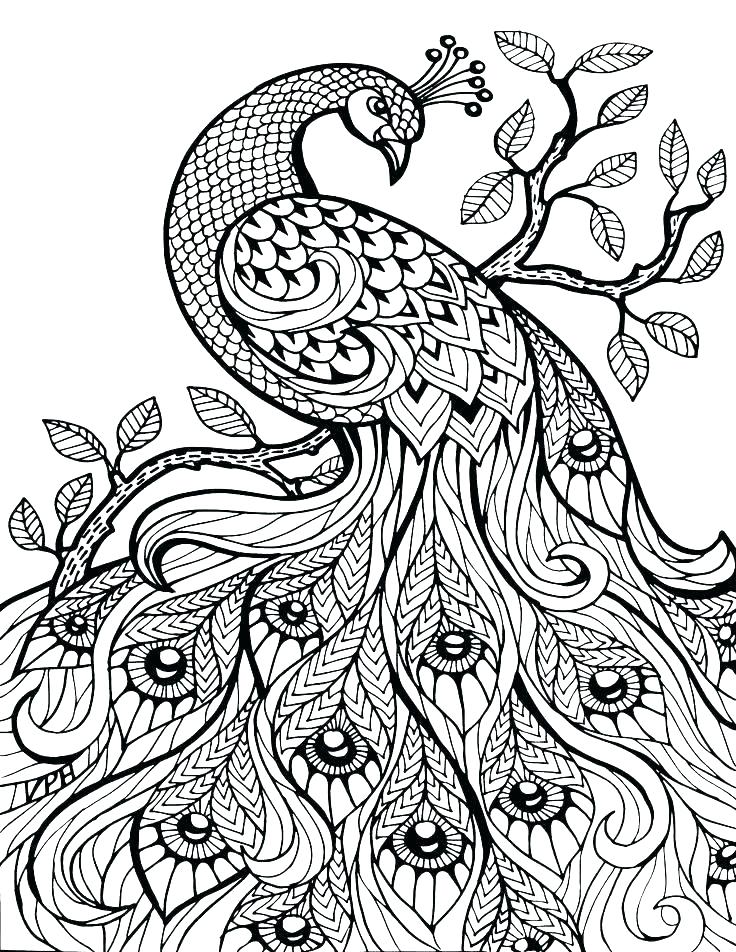 736x952 Free Printable Detailed Coloring Pages Free Printable Advanced