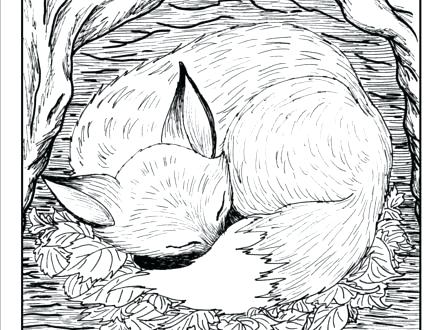 440x330 Free Printable Animal Coloring Pages For Adults Advanced Advanced