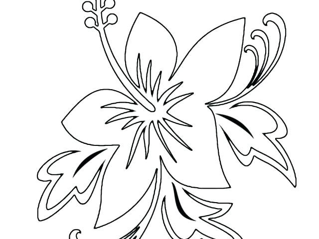 Advanced Flower Coloring Pages 640x480 Advanced Flower Coloring Pages