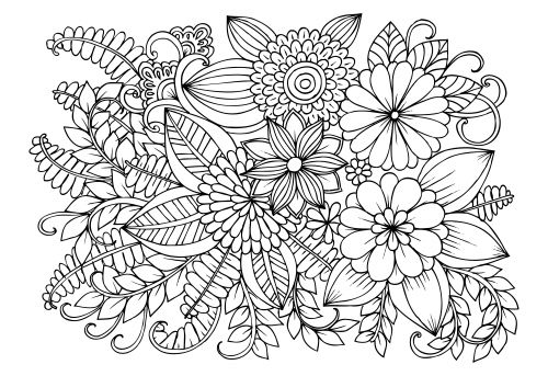 Advanced Flower Coloring Pages 11 In Flowers Coloring Pages 500x343 Advanced Flower Coloring Pages 11 In Flowers Coloring Pages