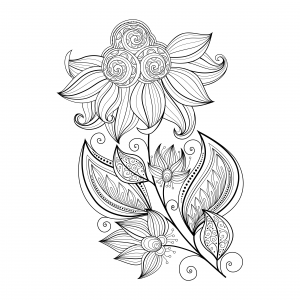 Flowers Coloring Pages Archives 300x300 Flowers Coloring Pages Archives