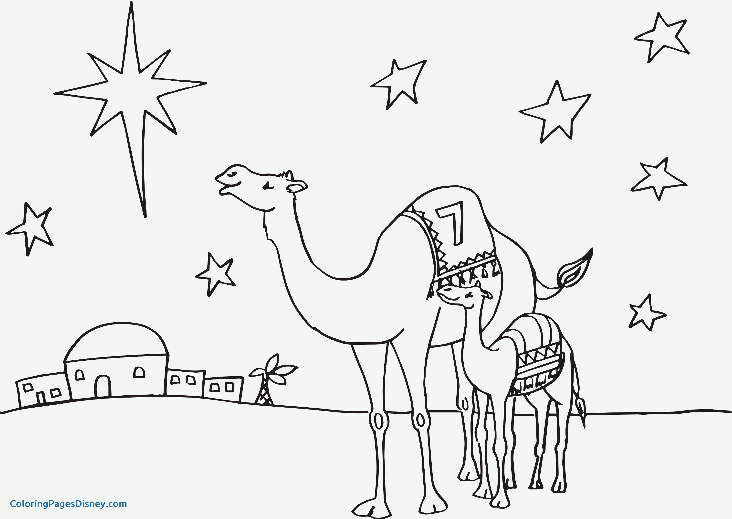 2998x2124 Camels Coloring Pages Beautiful Advent Calendar Coloring Pages