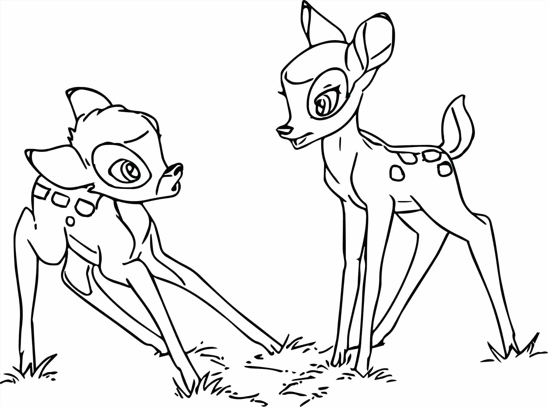 1899x1409 Adventure Time Coloring Pages To Print For Free Ice King Web