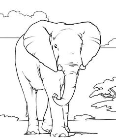 236x282 African Animals Coloring Pages Wild Animal Coloring Pages