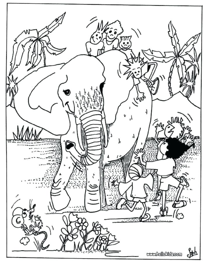 700x900 African Coloring Pages Animals Coloring Pages Pics Coloring Pages