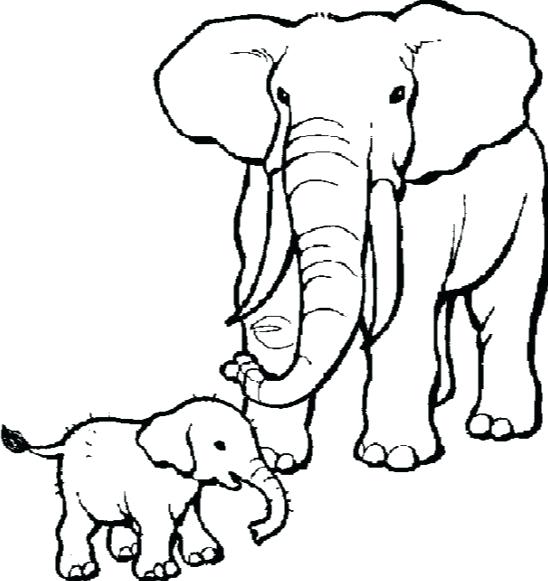 African Elephant Coloring Page Elephant Coloring Pages Online 548x581 African Elephant Coloring Page Elephant Coloring Pages Online