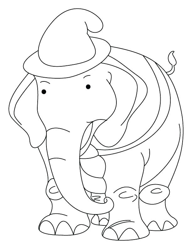 Coloring Pages Of African Elephant The Elephant Coloring Page 612x792 Coloring Pages Of African Elephant The Elephant Coloring Page