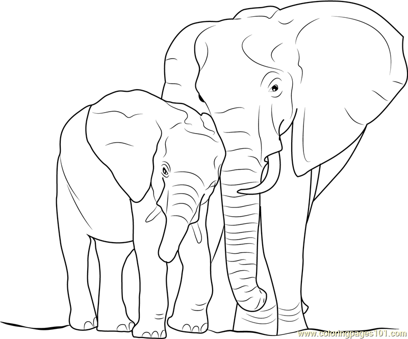 Elephant With Baby Coloring Page 800x665 Elephant With Baby Coloring Page