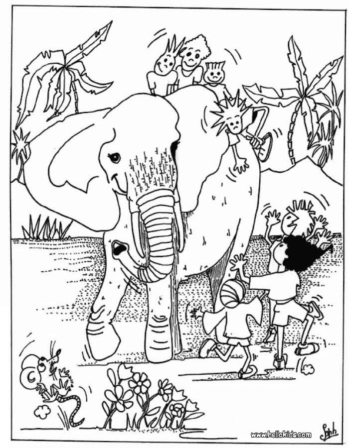 Kids And Elephant Coloring Page. More Africain Animals Coloring 700x900 Kids And Elephant Coloring Page. More Africain Animals Coloring