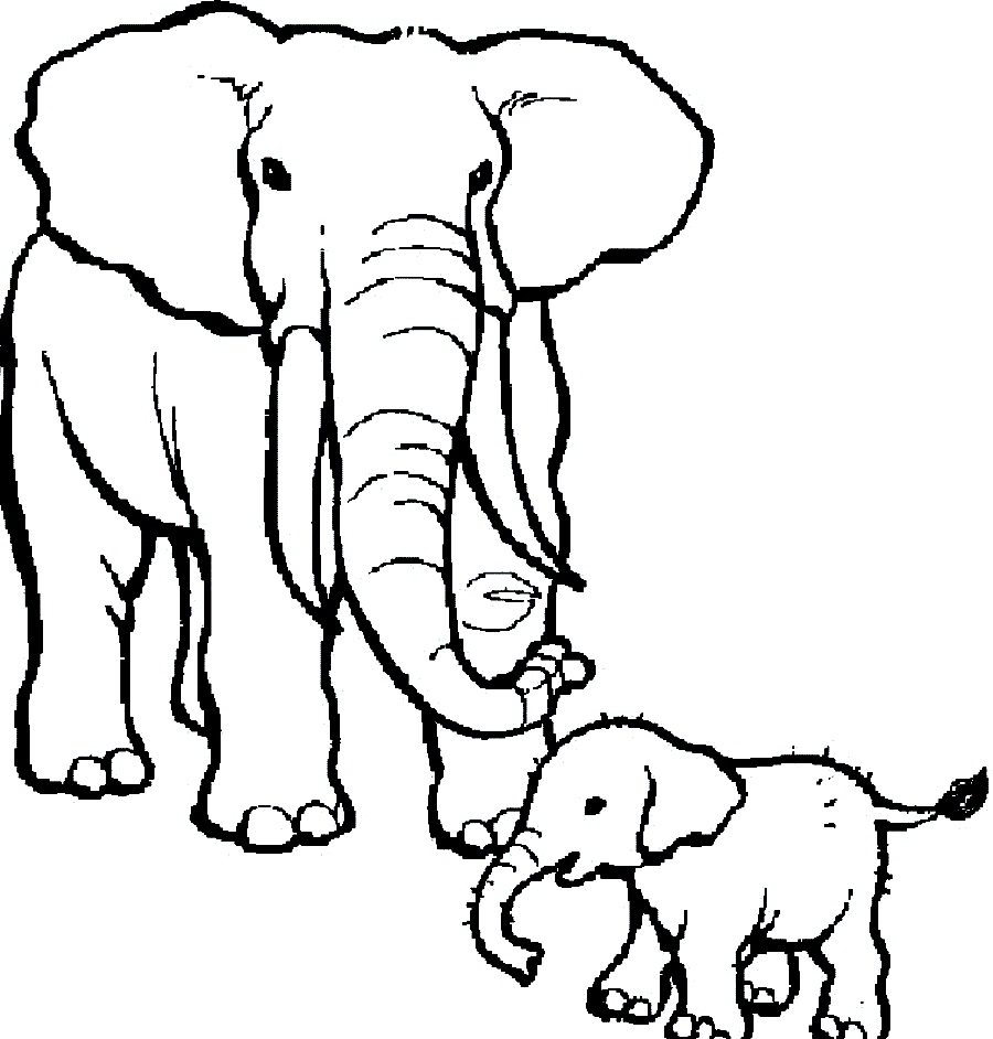 Elephant Coloring Page Circus Pages Download Big With Two Coloring 900x942 Elephant Coloring Page Circus Pages Download Big With Two Coloring