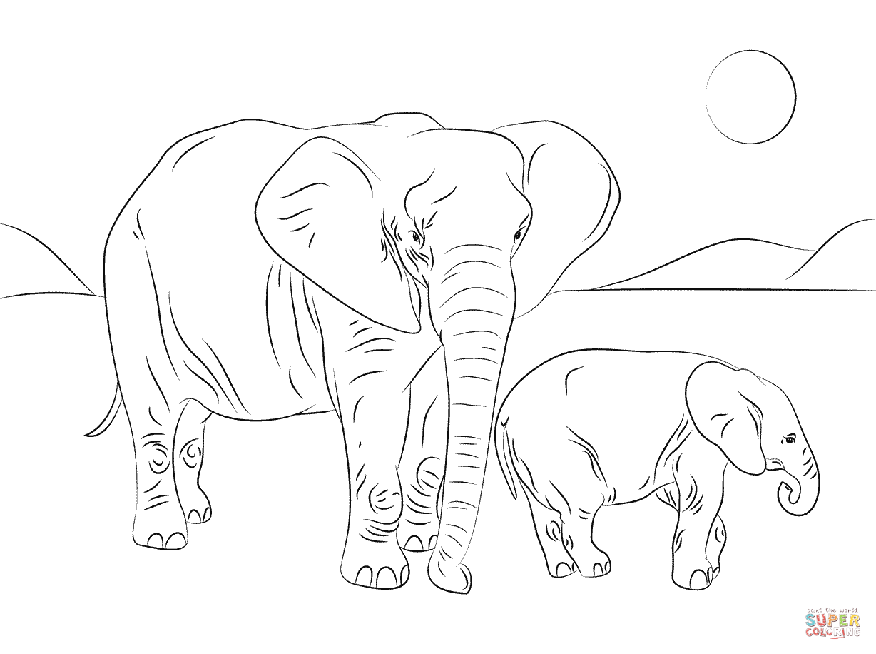 African Elephant Coloring Page 1228x916 African Elephant Coloring Page
