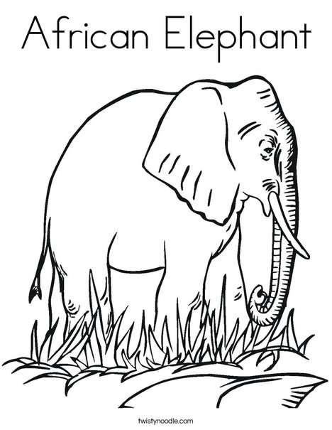 African Elephant Coloring Page 468x605 African Elephant Coloring Page