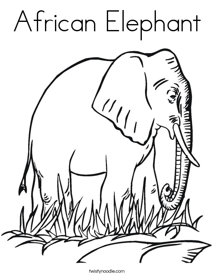 African Elephant Coloring Page 685x886 African Elephant Coloring Page
