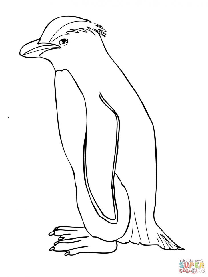 Printable Penguin Coloring Pages Me Sheets Animal Club Free 728x971 Printable Penguin Coloring Pages Me Sheets Animal Club Free