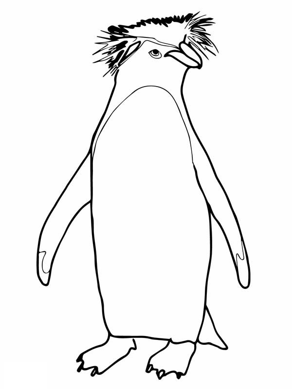 African Penguin Coloring Page 600x800 African Penguin Coloring Page
