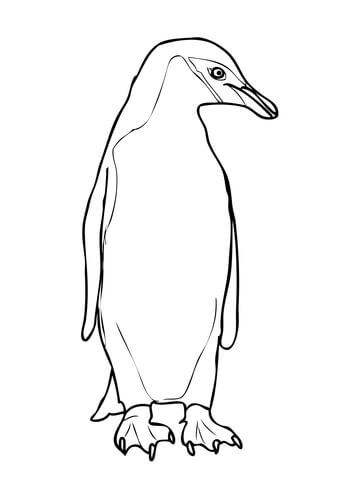 African Penguin Coloring Pages at GetColorings.com | Free printable ...