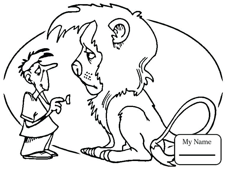 African Lion Coloring Page Coloring Lion African Lion Colouring 765x572 African Lion Coloring Page Coloring Lion African Lion Colouring