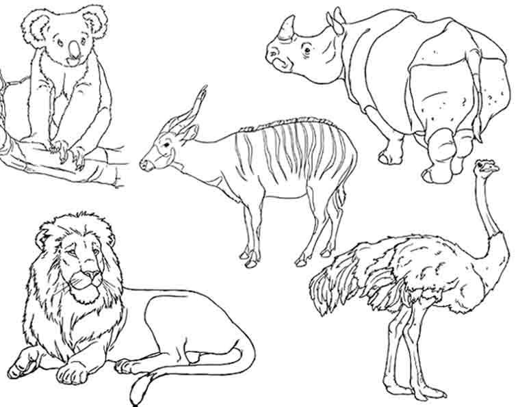 African Safari Animals Coloring Pages at GetColorings.com | Free