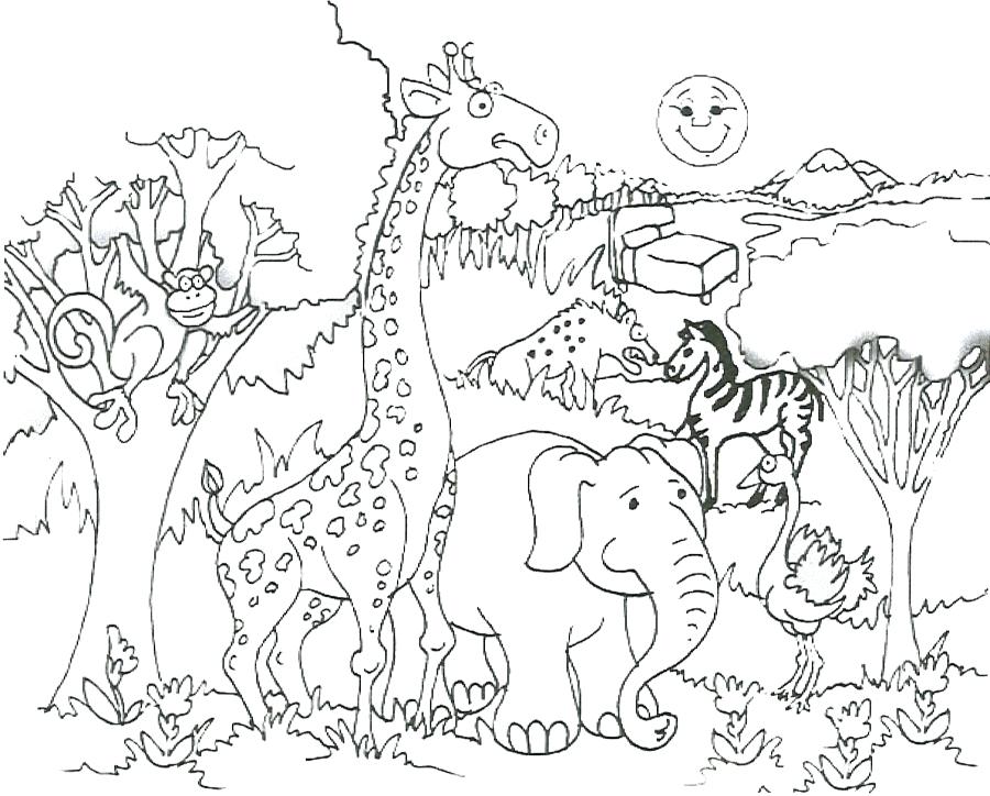 Safari Animals Coloring Pages Free Printable Jungle Animal 900x724 Safari Animals Coloring Pages Free Printable Jungle Animal
